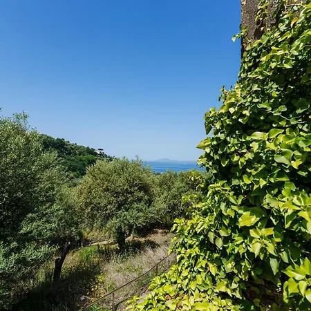 Апартаменты Villa Fratta