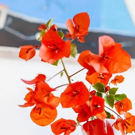 Villa Fratta * Península Sorrentina