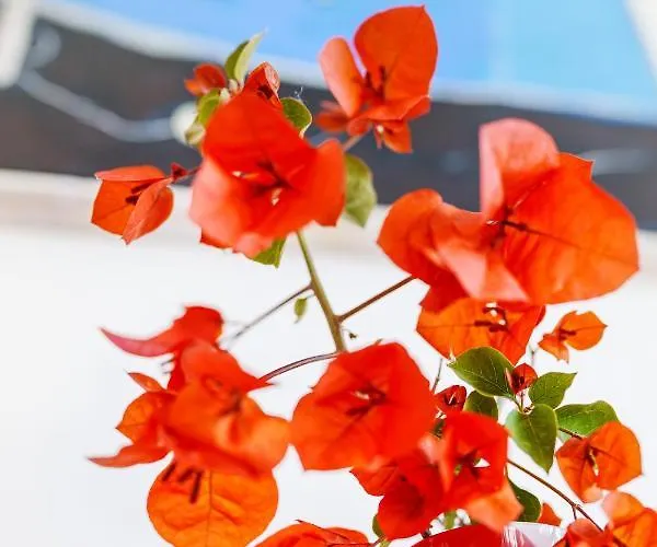 Fratta * Półwysep Sorrentyński