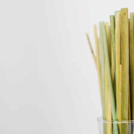 Apartmán Villa Fratta