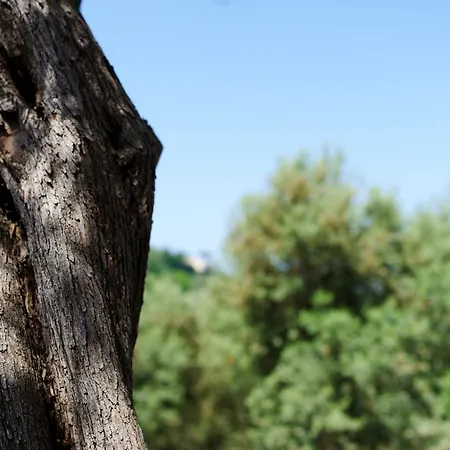 Appartement Villa Fratta